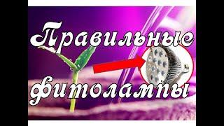 Я ВЫБРАЛА ЛУЧШИЕ ФИТОЛАМПЫ ДЛЯ РАССАДЫ! ЛАМПЫ ОТ МИНИФЕРМЕР