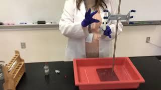 Double-Replacement Reaction Demonstration