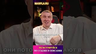 Базовые параметры, влияющие на продажи на Wildberries