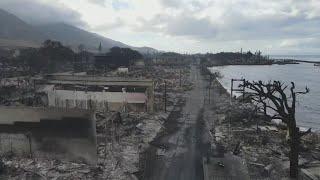 Maui fires death toll rises, top official resigns: Latest update