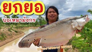 ยกยอ บ่อเหมามังกร ►Fishing lifestyle Ep.771