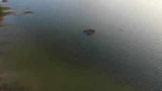 Slow Landing Over The Lake 2 - cutestockfootage.com