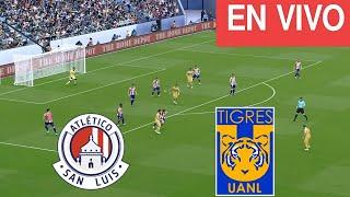 [EN VIVO] ATLÉTICO SAN LUIS vs TIGRES |LIGA MX CUARTOS DE FINAL IDA APERTURA 2024