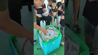 Silver Wolf vs Silver Wolf | Beyblade X Tournament Saujana Upperground XXIII