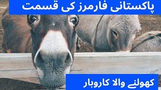 Donkey Farming In Pakistan|Donkey Milk And Meat prices| پاکستانی فارمرز کی قسمت کھولنے والا کاروبار