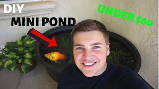 DIY Mini Pond *CHEAP* for PLATIES and MOLLIES