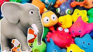 Learn Animal Names and facts, Sea Animals for kids, Sea Animals, Zoo and Farm Animals for toddlers