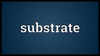 Substrate Meaning