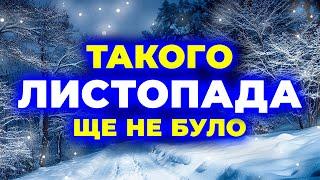 ЛИСТОПАД - 2024 ОШАРАШИТЬ ВСЮ КРАЇНУ?! Погода на листопад 2024. Погода у листопаді 2024 року.