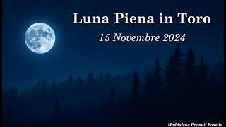 Luna Piena in Toro  ️ - 15 Novembre 2024