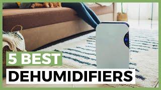 Best Dehumidifier in 2025 - How to Choose a Dehumidifier?