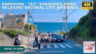 4k hdr japan travel | Walk in Kamakura （鎌倉）Kanagawa Japan |  Relaxing Natural City ambience