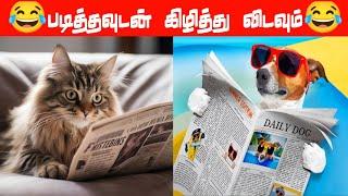 தண்ணி தொட்டிக்குள்ள மலப்பாம்பு‍⬛#viral #trending #cutecat #funnyanimalsvideo