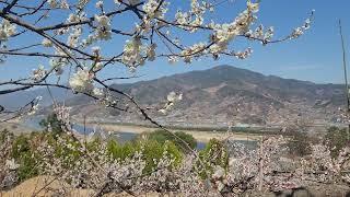 10분 기치료 음악, 알러지(콧물, 재체기, 코막힘),  10min. Energy Healing Music, Allergies (sneezing, stuffy nose)