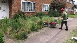 Clearing weeds: general garden maintenance