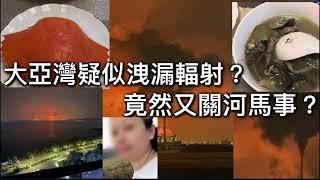 大亞灣疑似洩漏輻射，竟然又關河馬事？#何伯 #何太 #河馬