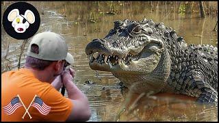 How Do Hunters Deal With Millions of Giant Crocodiles? | Hunting Documentary
