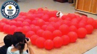 Fastest time to pop 100 balloons by a dog - Guinness World Records