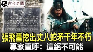 四川發掘三國張飛之墓，丈八蛇矛千年不朽，專家：我們誤會了1800年！#張飛墓#古代#歷史#奇聞#考古#古墓#文物#古今奇聞