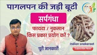 हाई ब्लड प्रेशर और अनिद्रा की आयुर्वेदिक जड़ीबूटी : सर्पगंधा | Rauvolfia serpentina in hindi (84)
