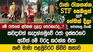 නැදුන්ගමුවේ රජා ඉස්සරහට කැමරා ෆෝන් උස්සගෙන ඇවිත් මේ වරද කරන්න එපා -  Nadungamuwe Raja Dressing