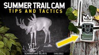 Summer Trail Cam Tactics for BIG BUCKS!!!