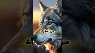 حكم وأقوال ملهمة عن الحياة #حياة #أقوال #حكم #إلهام #تحفيز #نصائح_حياتية #حكمة #فكر #اقتباسات