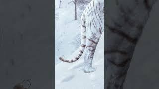 How to Add Highlights & Shadows to Art in Photoshop #photoshop #shorts