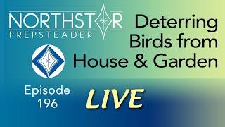 Keeping BIRDS Out of Your GARDEN & Away from Your HOUSE • NORTHSTAR Live! Ep. 196