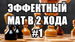 Шахматные задачи мат в 2 хода. Выпуск №1. Решение шахматных задач. Шахматы задачи. Шахматные заметки