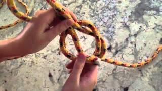How To Tie The Sheet bend Knot (Simple)