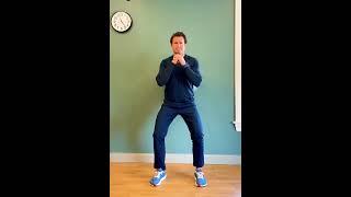 Exercise Ball Wall Squats
