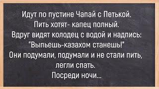 Как Ёжик Пятку Прятал! Сборник Свежих Смешных Анекдотов! Юмор! Позитив!