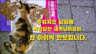 산이 이모는 산으로 울 엄마는 태종대로 오늘도 뛰어나갔습니다