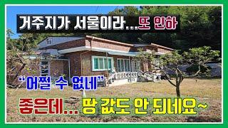 주택 매매 -매물984번(좋은데...  땅 값도 안 되는 가격.  거주지가 서울이라 어쩔 수 없이 또 인하.  도심 속 전원생활 가능 급매물)
