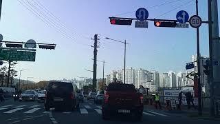 jkp ctv 깍뚜기가로수 성동로 서울숲 Kkakdugi street trees