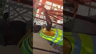 Engineering services