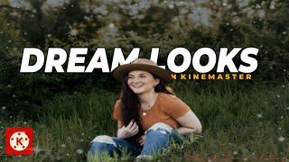 Dreamy looks effect with kinemaster