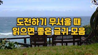 좋은글, 좋은글귀 명언 모음 | 인생명언 | 감성 글귀 | 도전하기 전에