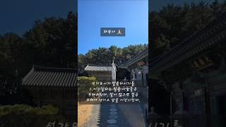 [석가모니불] 말씀을 봅시다. #사찰순례 #사찰여행 #불교공부 #소원성취발원 #업장소멸 #나무석가모니불