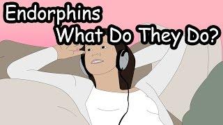 What are Endorphins?...and Enkephalins?