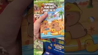 #capybara Capybara  #Blindbox Inside the TV #bara #capy