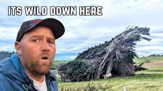 The hardest place to live and camp in New Zealand??? The Southern coast.