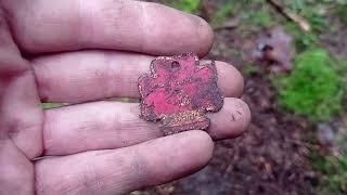 Excavations in the forest yield interesting finds. .Розкопки в лісі дають цікаві знахідки.