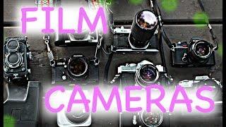 FILM CAMERAS | CAMERA COLLECTION | SIENNA AND JASON