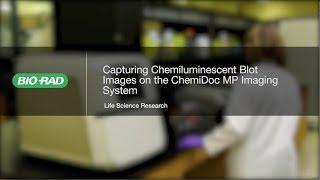 How to Use the New ChemiDoc MP for Chemiluminescent Western Blot Imaging