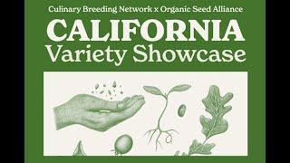 CA VARIETY SHOWCASE DAY 3 (Jay Tracy, Hans Fama, Steve Sprinkel & Quin Shakra)