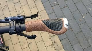 Ergon GP1 BioKork Grips on MTB