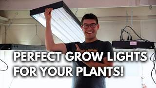 Our Complete Grow Light Setup Explained