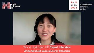 World Hydrogen Leaders Expert Interview: Anise Ganbold, Aurora Energy Research